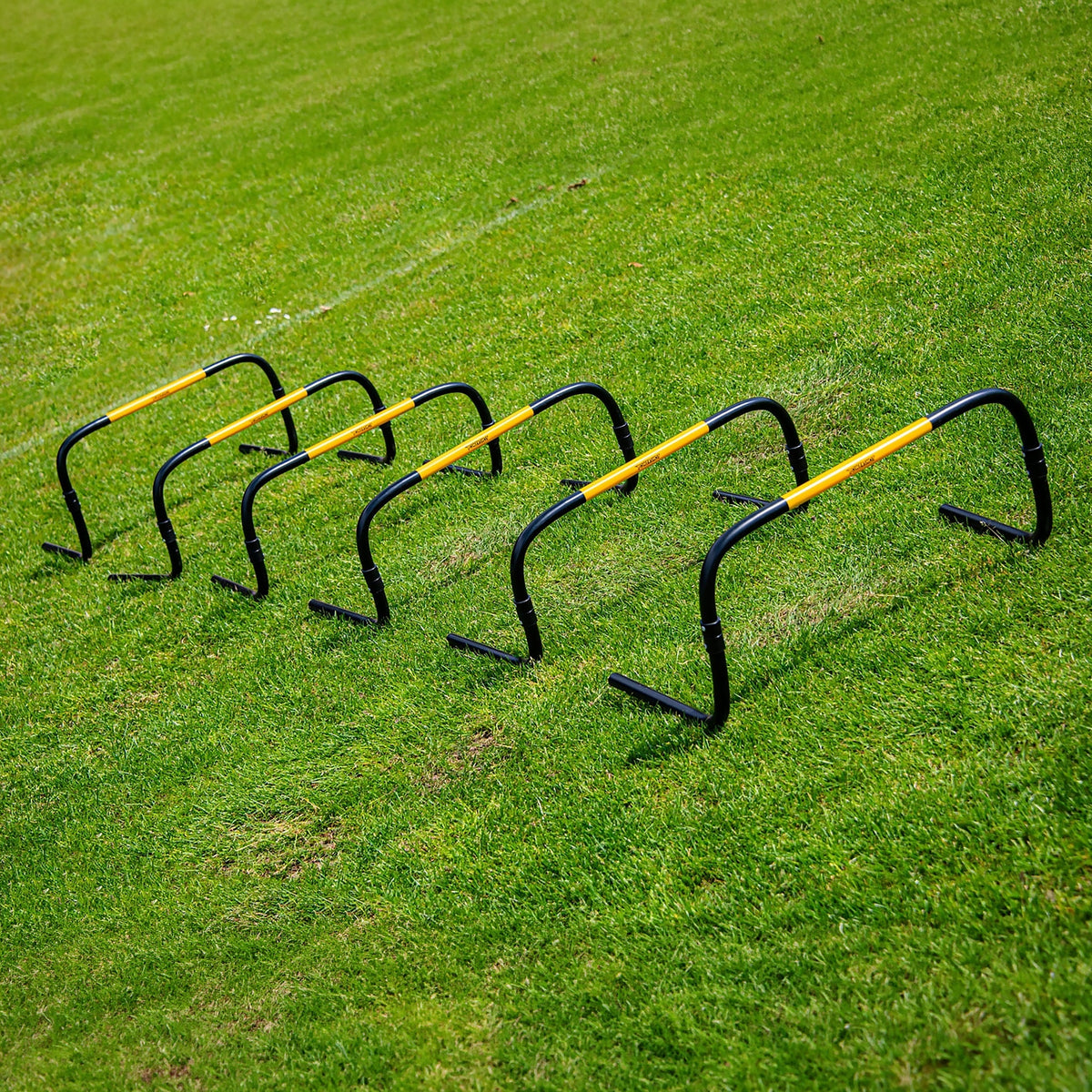 Siepi "Self Return" - 20 cm - Set da 6