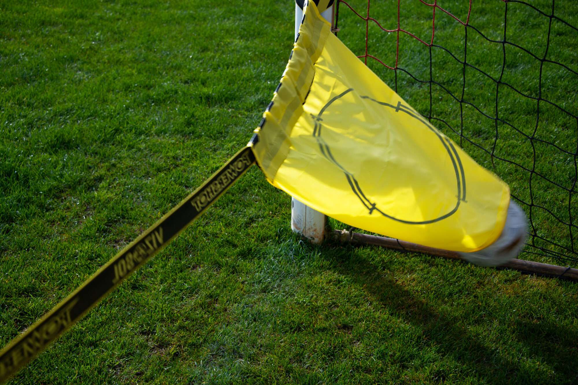 Image du produit : VIZOSOL - 76% dei gol segnati!