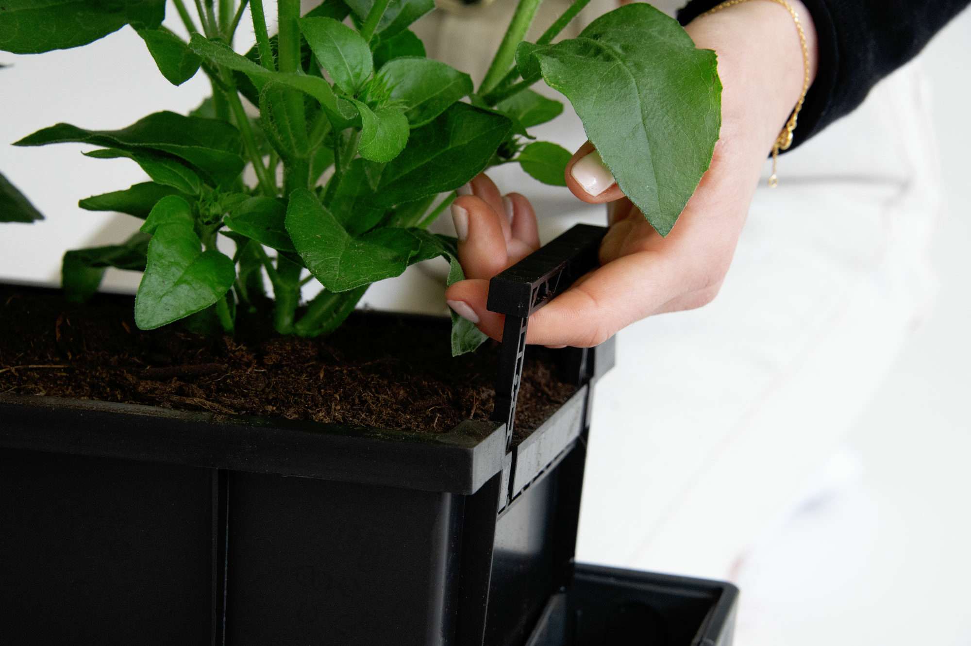 Image du produit : Vaso autoirrigante SUPREME - 75 cm