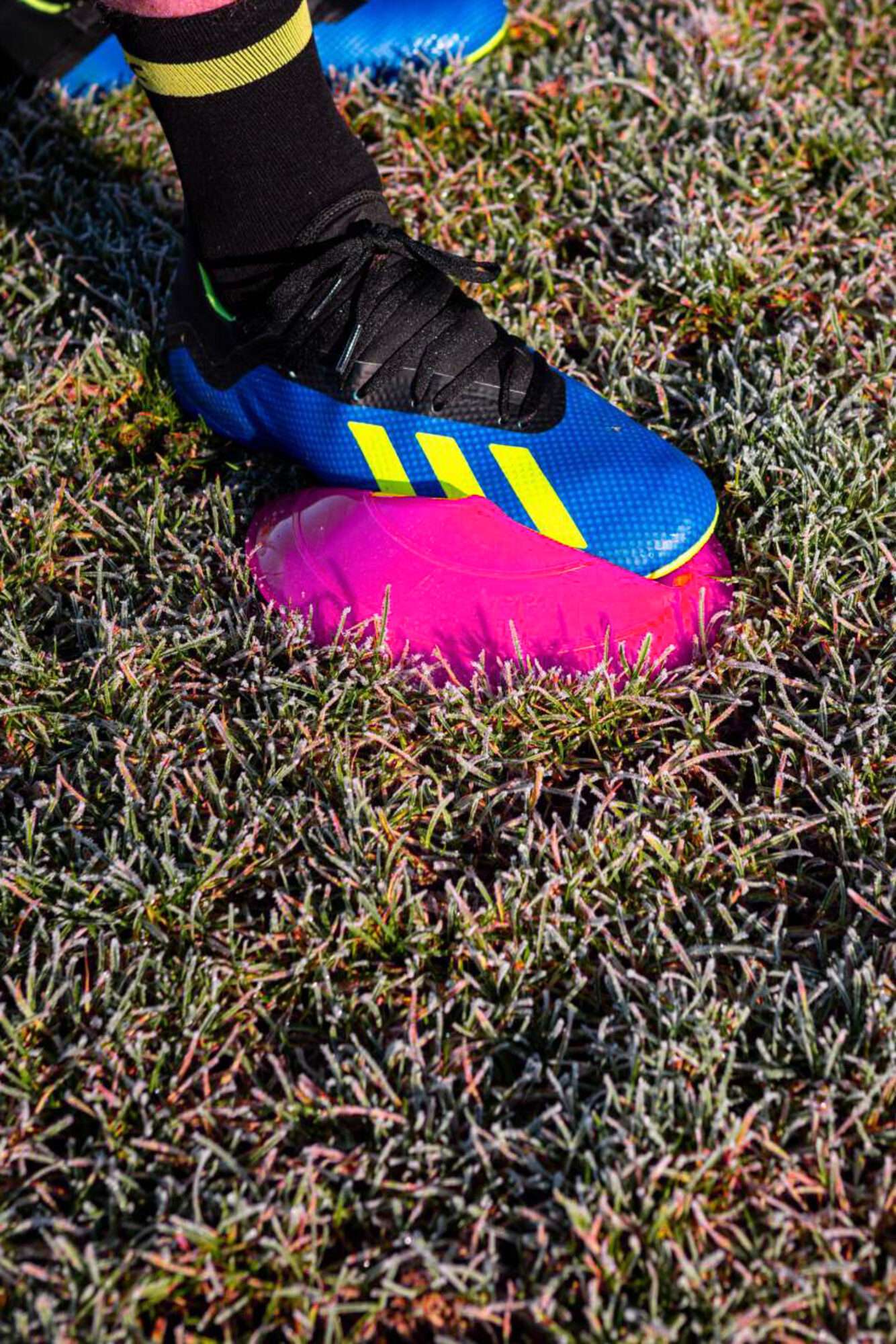 Image du produit : 50 cinesini/delimitatori di spazio