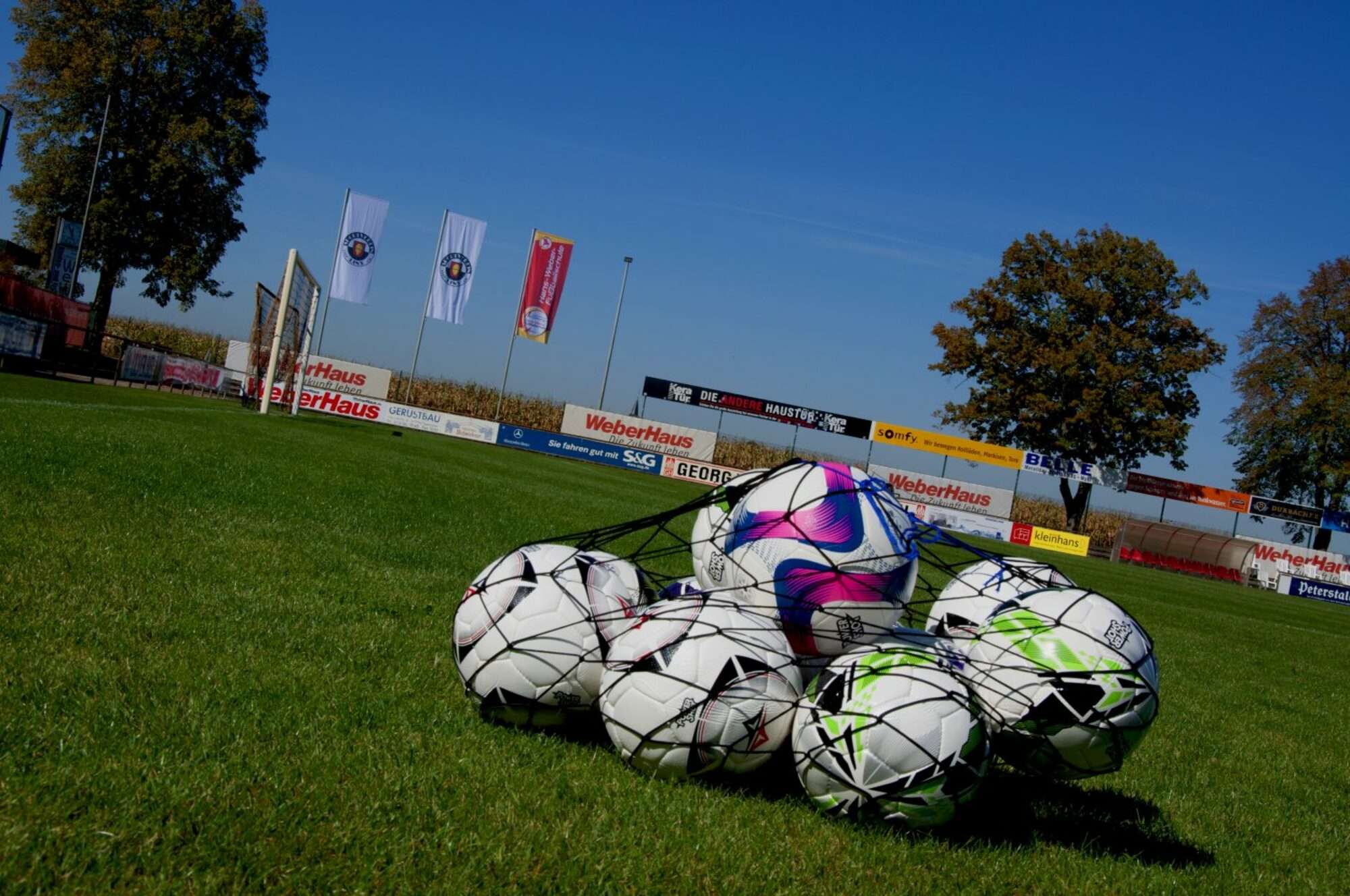 Image du produit : POWERSHOT®  Rete portapalloni ( 12 )