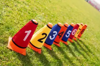 Set of 8 cone sleeves