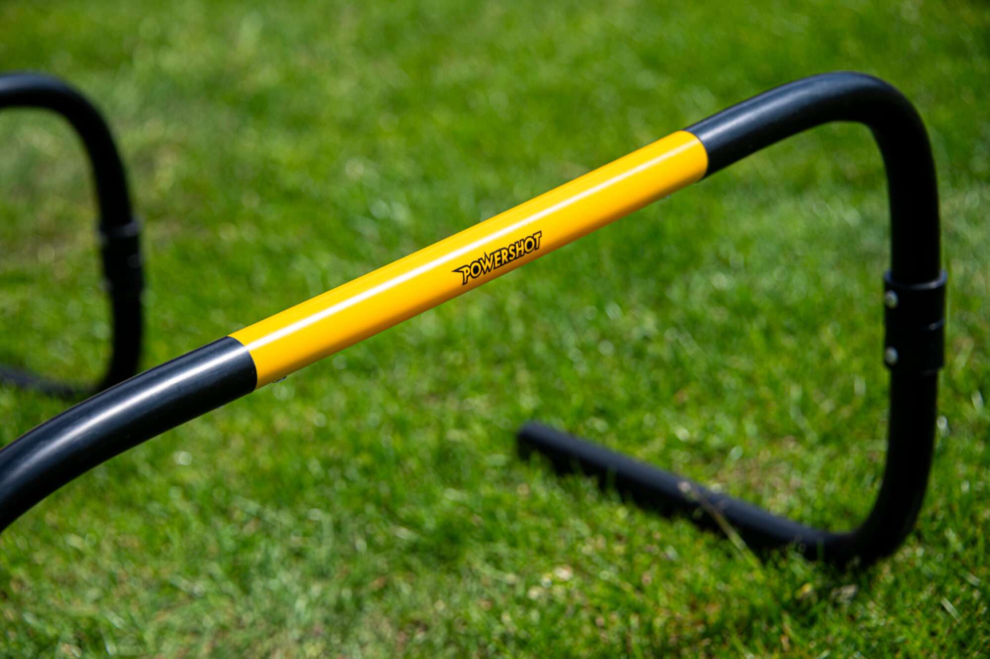 Image du produit : Siepi 'Self Return' - 20 cm - Set da 6