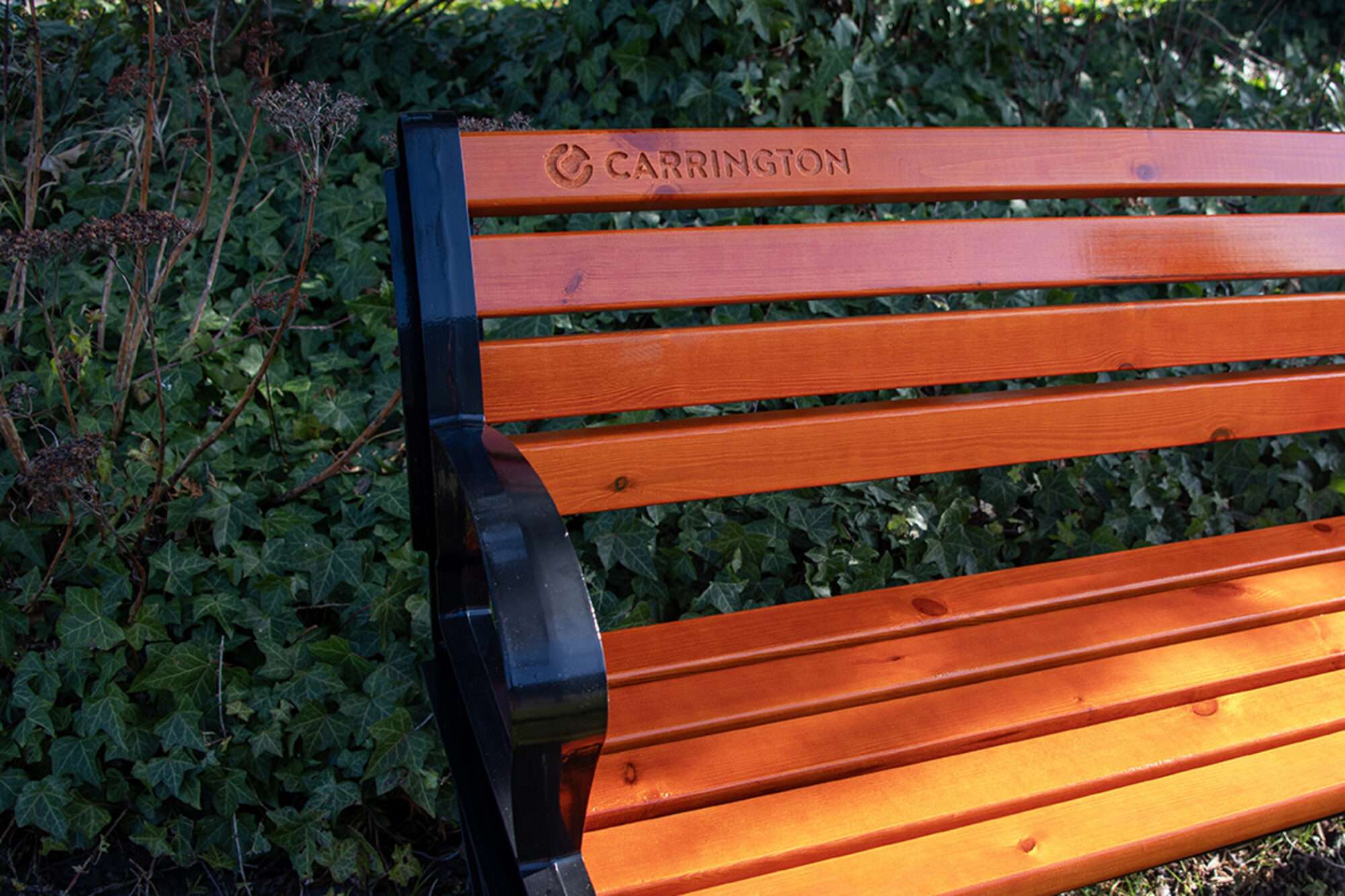 Image du produit : Panca da tennis con schienale - 180 cm