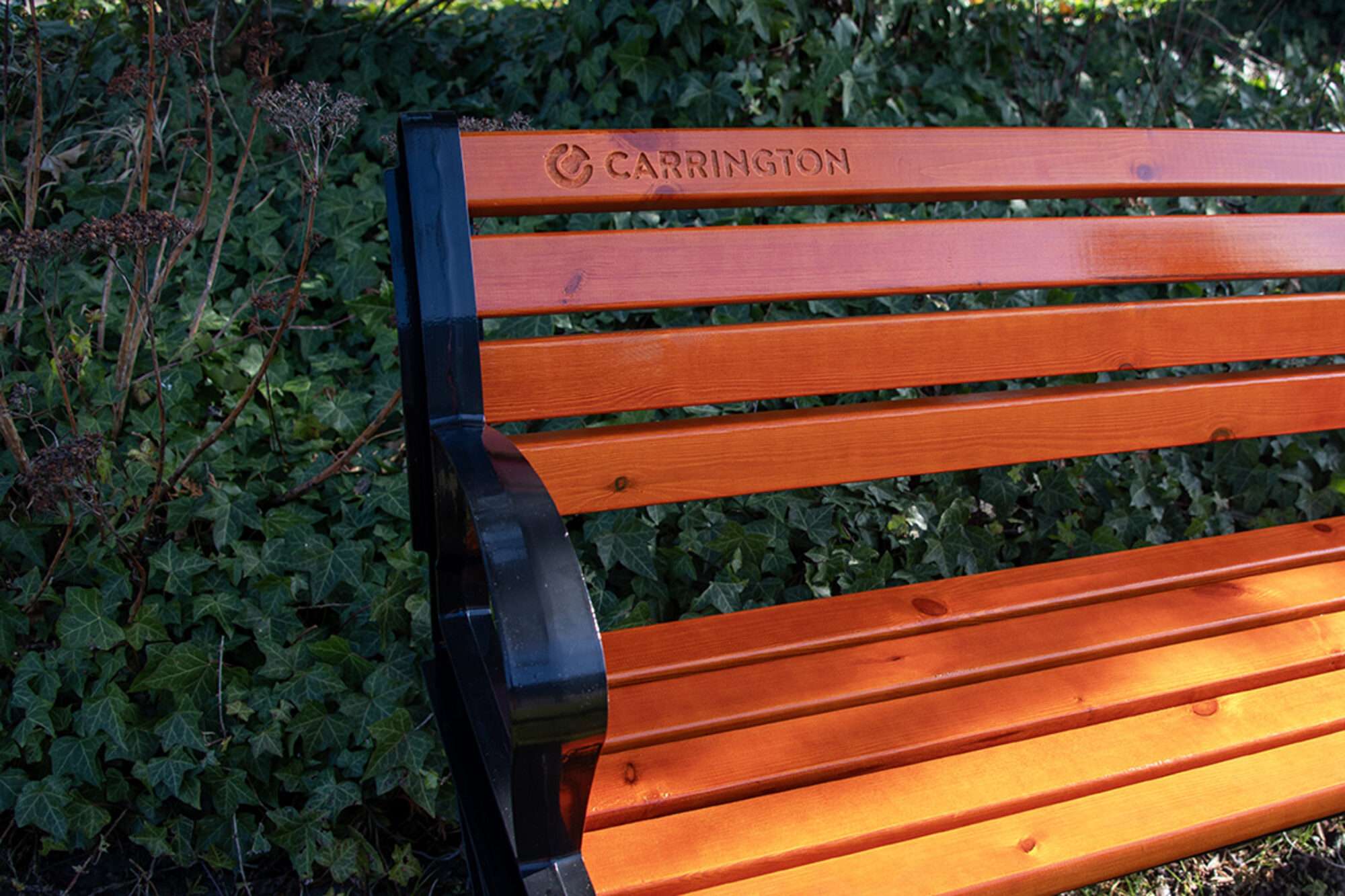 Image du produit : Panca da tennis con schienale - 150 cm