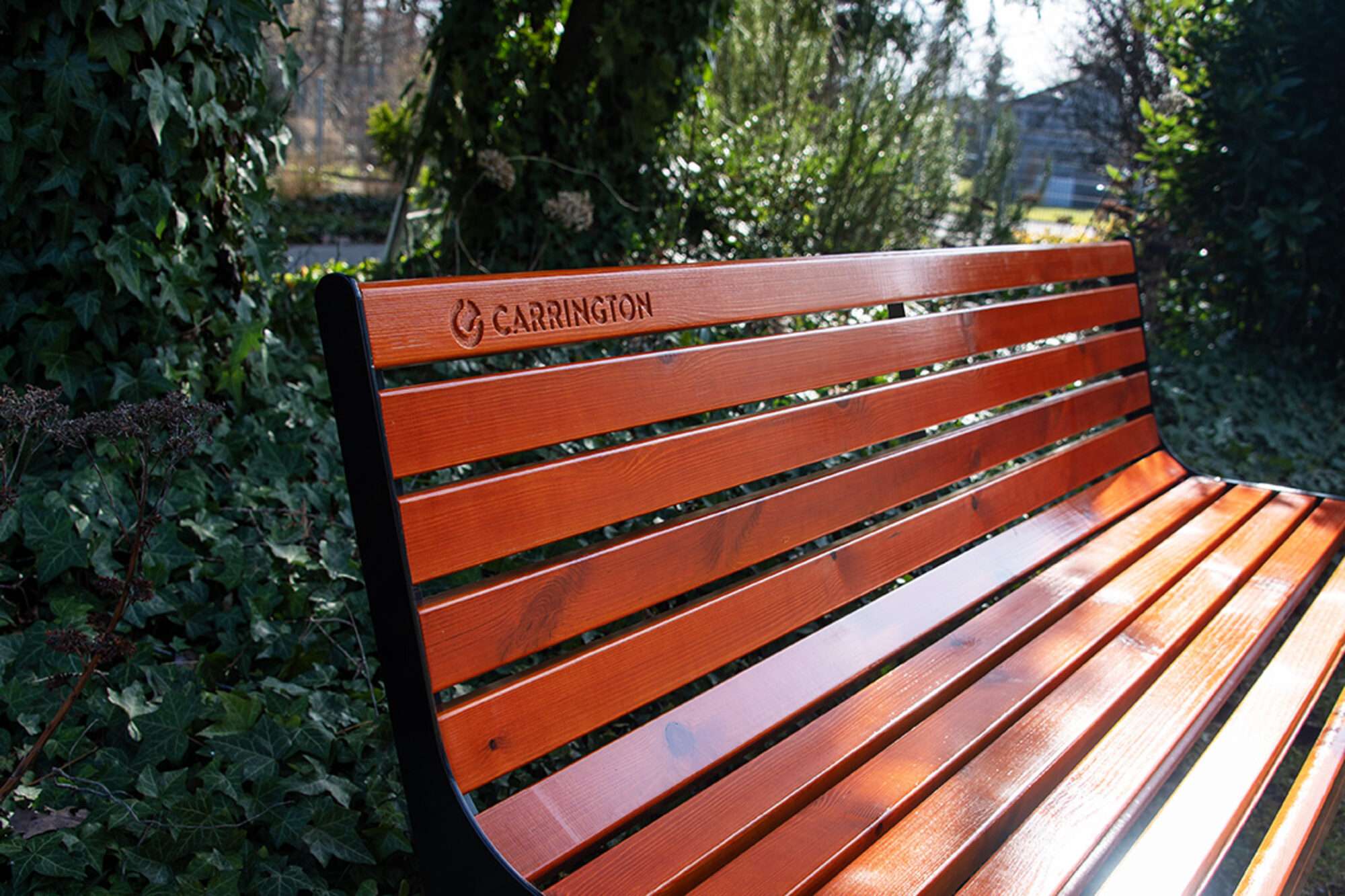 Image du produit : Panca da tennis in legno Premium con schienale - 180 cm